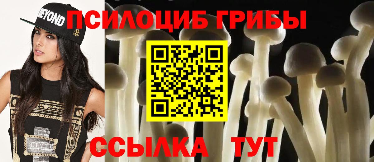 Псилоцибиновые грибы прущие грибы Зима